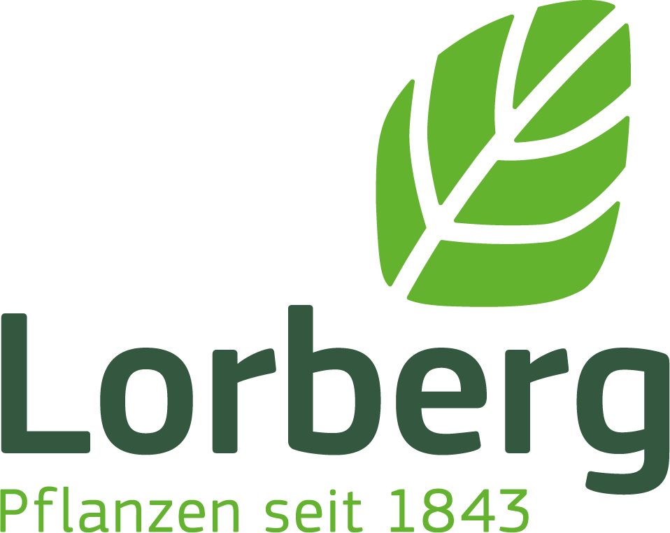 Lorberg Baumschule